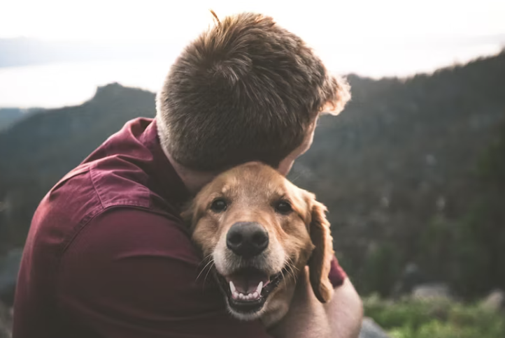 반려동물 등록제 강화 배경과 보호자들이 알아야 할 핵심 정보