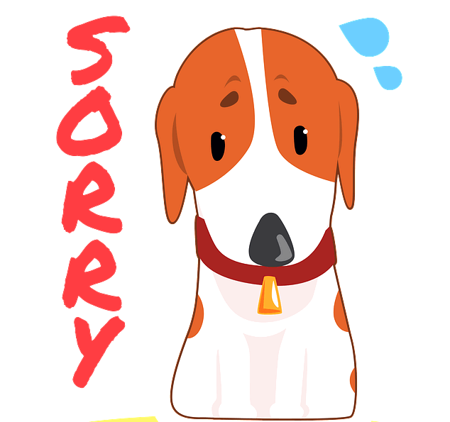 개 한 마리가 미안한 얼굴로 앉아있다. 눈은 아래로 내리갈았고 왼쪽엔 빨간색의 영문자로 sorry가 적혀졌다.