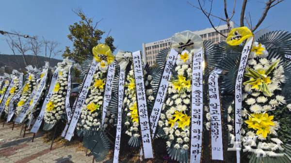 해든이 사건 핵심