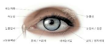 vision_interior_view