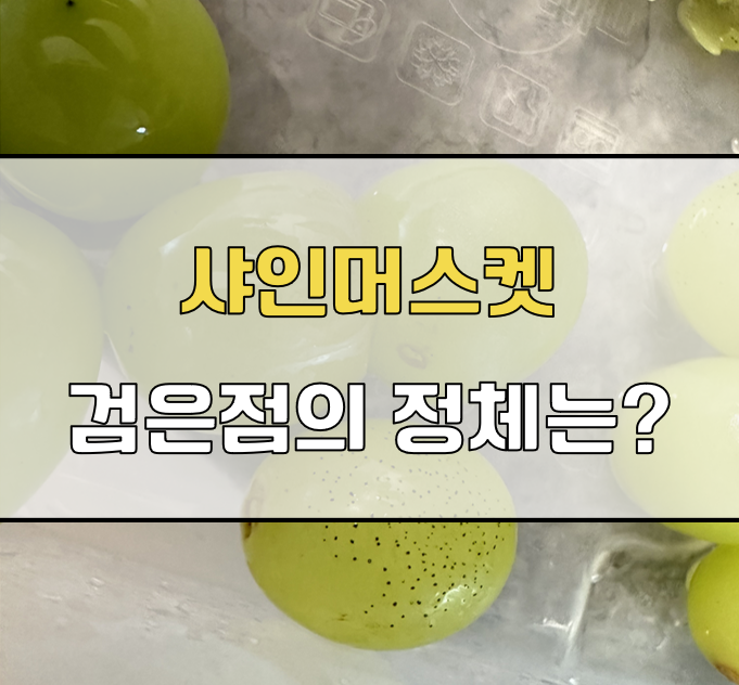 샤인머스켓 검은점