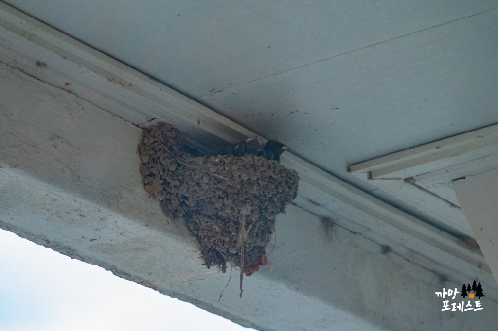사맛디 커피실록 새 둥지