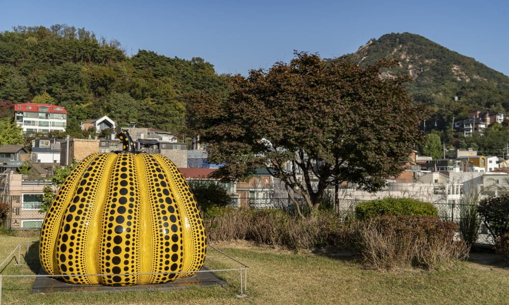 국내 힐링 여행지 추천 6선, 마음챙김과 명상을 위한 진짜 쉼의 공간