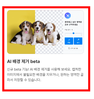 컴퓨터 화면 캡쳐하는 방법