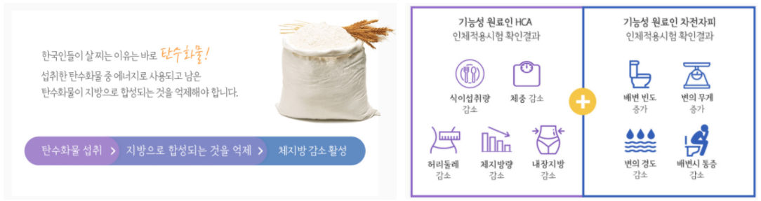감량원리