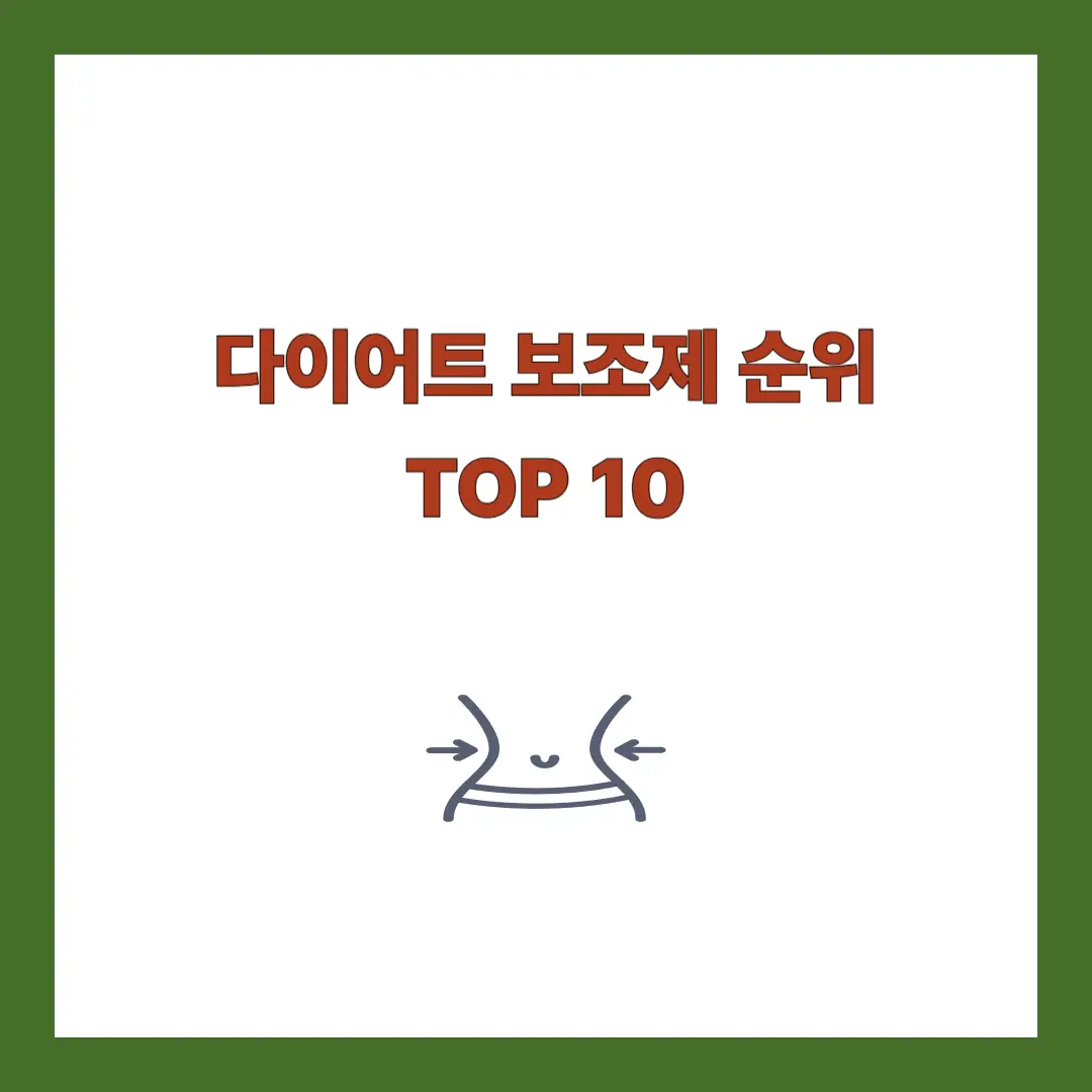 다이어트 보조제 순위