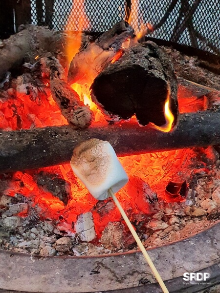 미사장-하남-미사-카페-숲속-카페-캠핑-불멍-카페-하남미사-가볼만한곳