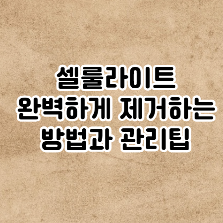 셀룰라이트 없애는 법 (생기는 이유와 셀룰라이트 없애는 음식)