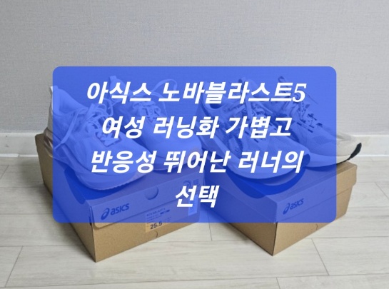 아식스 노바블라스트5