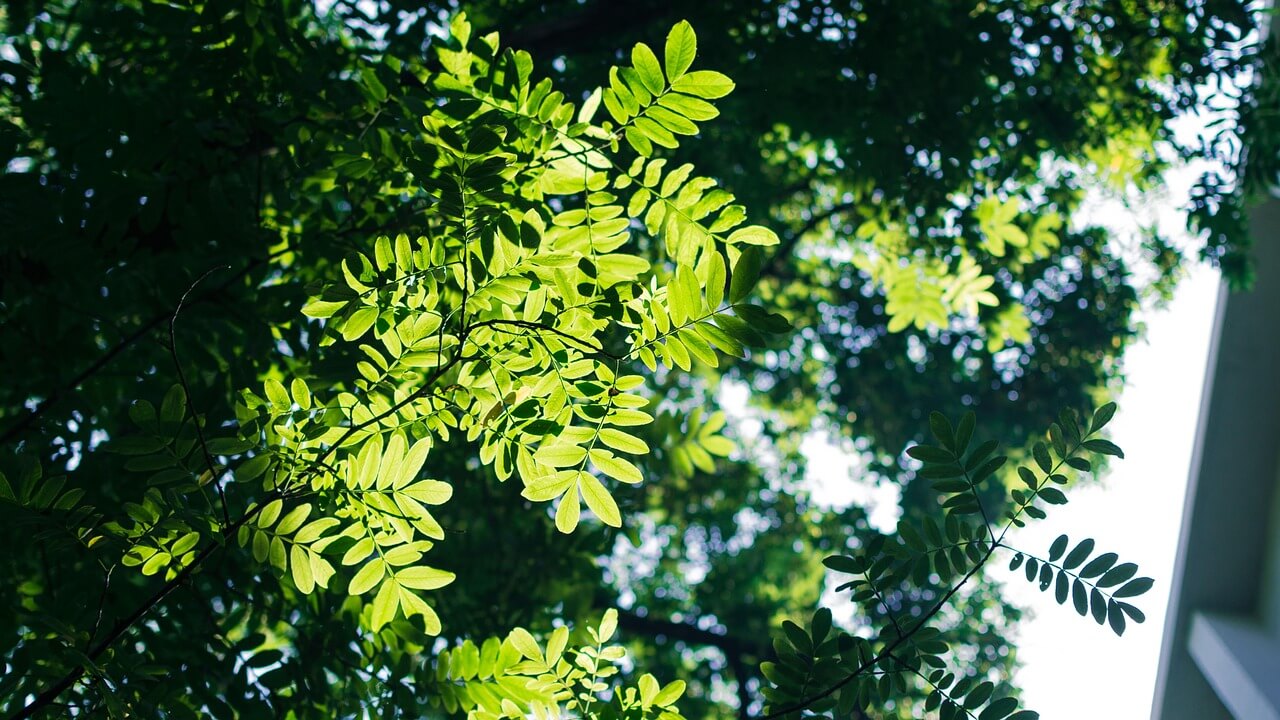 텃밭 같은 흙인데 구역마다 상태가 다른 이유