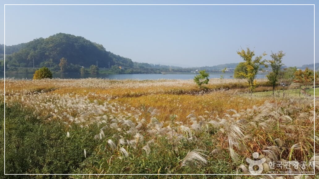 충주 가볼만한곳 베스트10 충주 세계무술공원(탄금공원)
