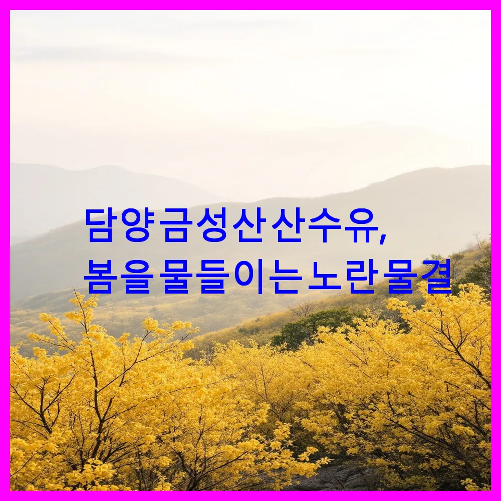담양 금성산 산수유