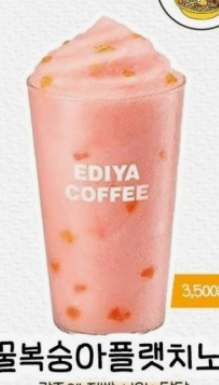 이디야 추천메뉴 BEST 6