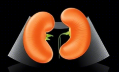 복부초음파 실비보험