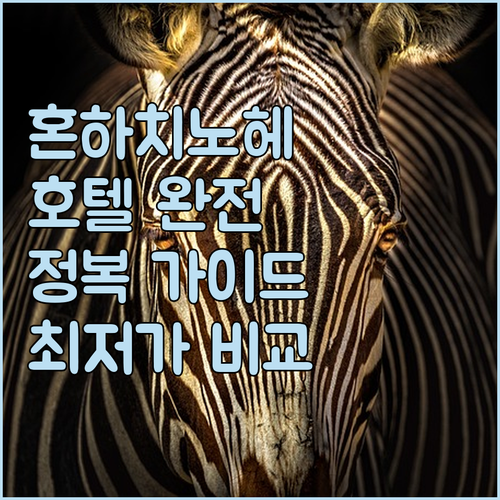 혼하치노헤 호텔 완전 정복 HOTEL..