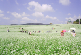 고창학원농장18