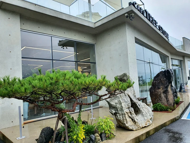 카페트리스톤 야외