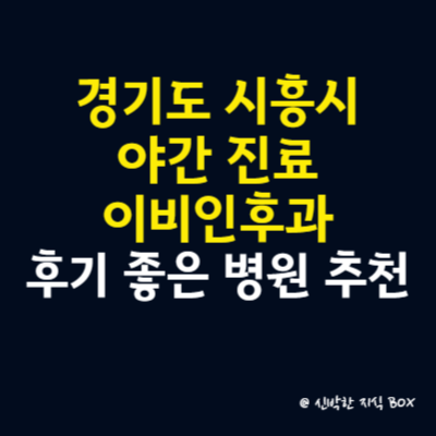 경기도 시흥시 이비인후과 야간진료 병원, 후기 좋은 이비인후과 병원 추천