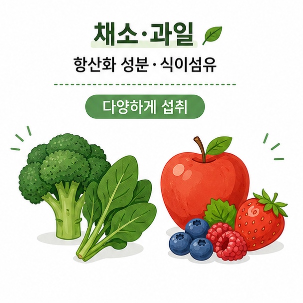 브로콜리와 시금치 같은 채소와 사과, 베리류 같은 과일을 통해 항산화 성분과 식이섬유 섭취를 설명한 이미지
