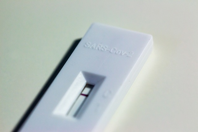 전남 전문가용 신속항원검사 PCR검사 가능 병원6