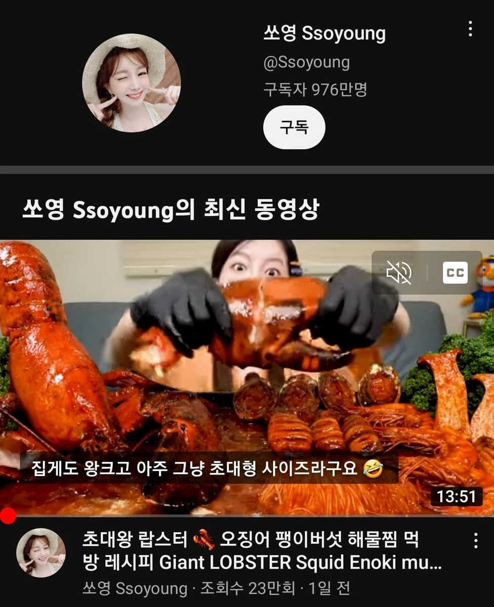 쏘영의 유튜브&#44; 구독자 수 976만 명