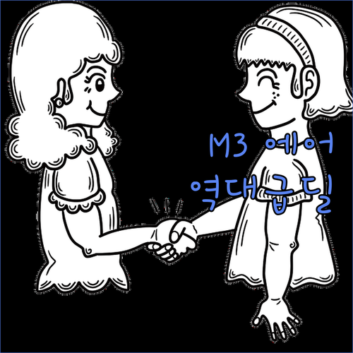M3칩 아이패드 에어 11인치, 이 