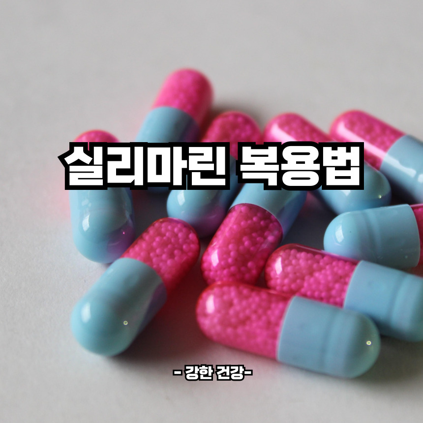 실리마린 복용법