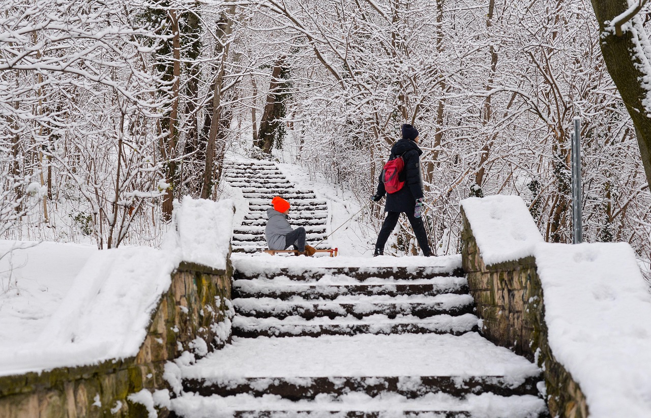 겨울 눈쌓인 풍경 사진