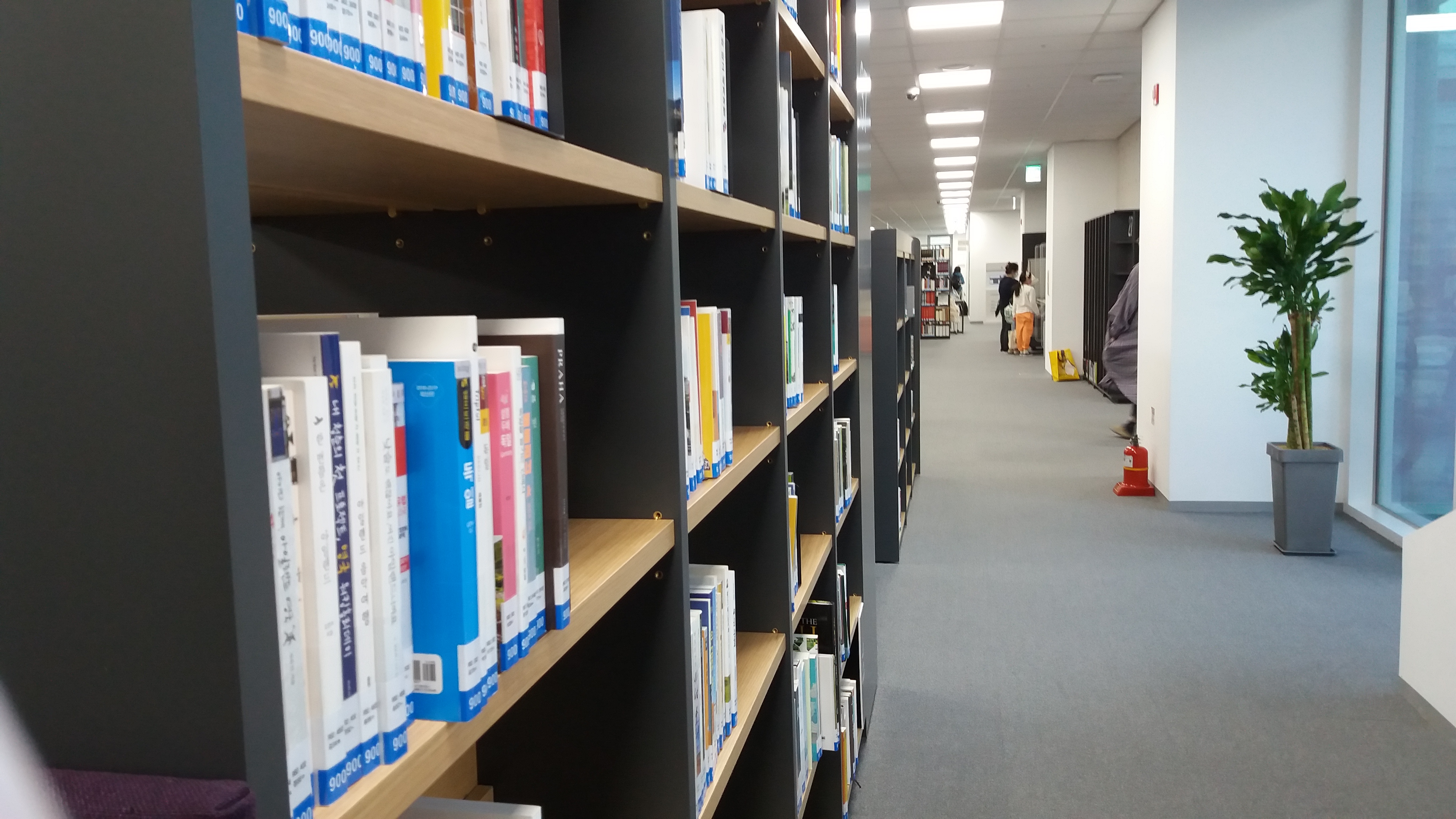 ์ธ์ข
์๋ฆฝ๋์๊ด