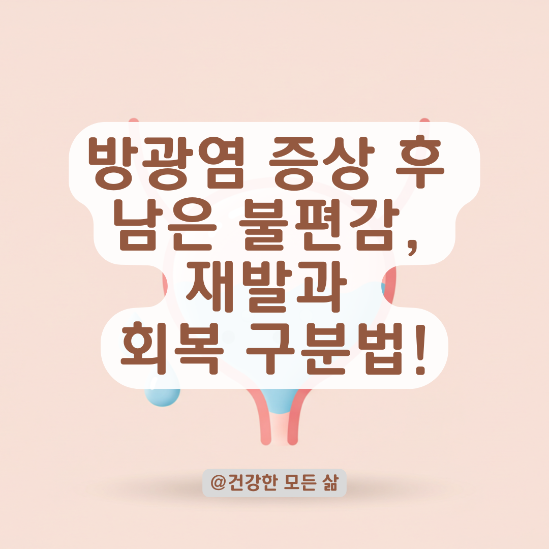 방광염 증상은 사라졌는데 불편함이 남아있다면? 재발과 회복의 경계 체크포인트.