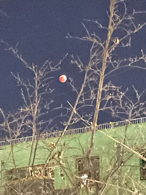 공원의 낮과 밤