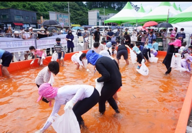 전어맨손잡기