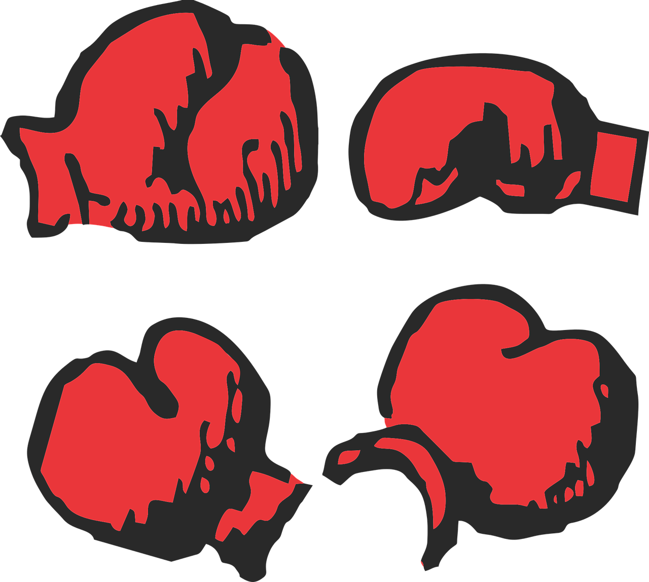 제이크 폴 vs 마이크 타이슨: 세기의 대결&amp;#44; 2024년 11월 15일 경기 일정 및 넷플릭스 생중계 안내