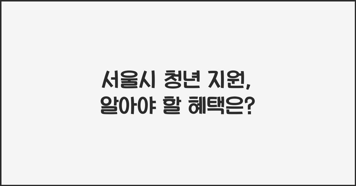 서울시 청년 지원