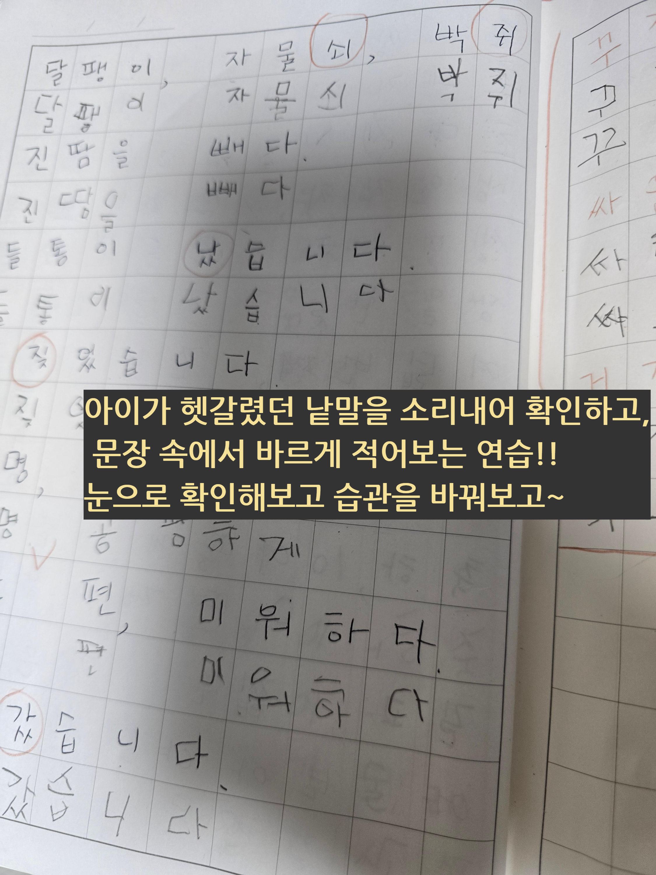 초등학생 받아쓰기 오답 노트 지도
