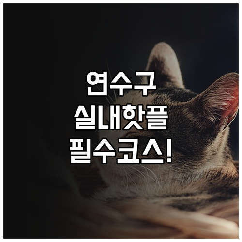 추운 날씨에 가기 좋은 인천 연수구 ..