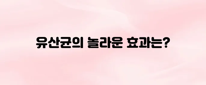 유산균 효능 8가지 알아보기