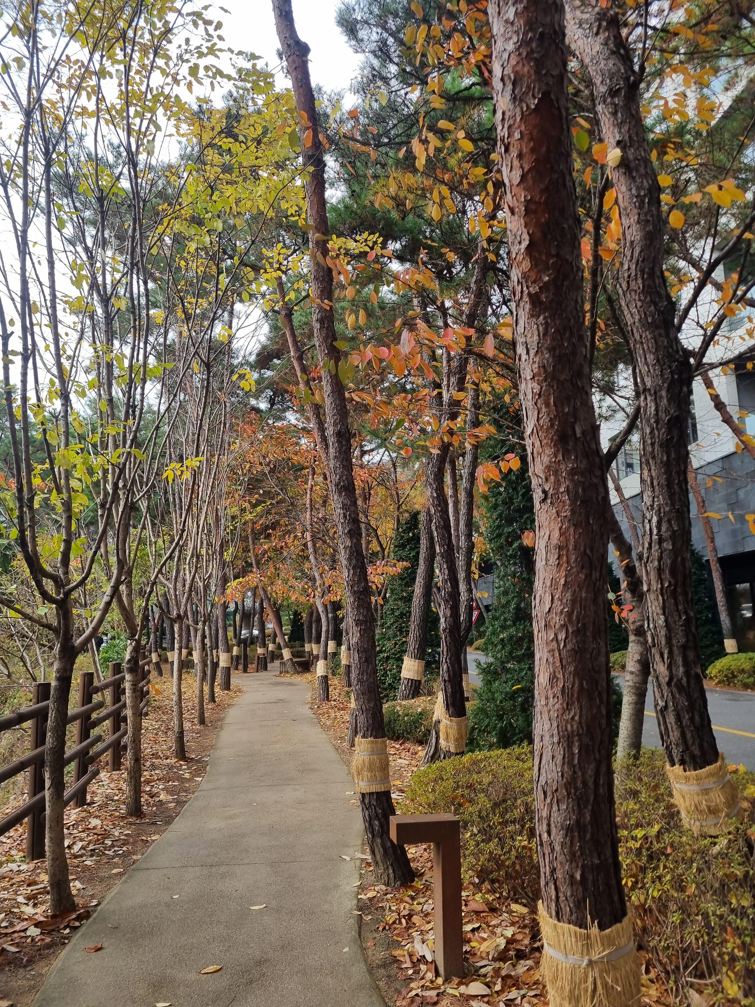 북한산 둘레길 내려오는 길