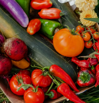 비타민C 많은 음식 (식품 과일 채소)