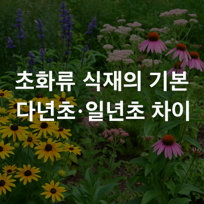 [정원가꾸기_실전편] 초화류 식재의 기본 : 다년초&middot;일년초 차이로 배우는 정원 디자인의 핵심