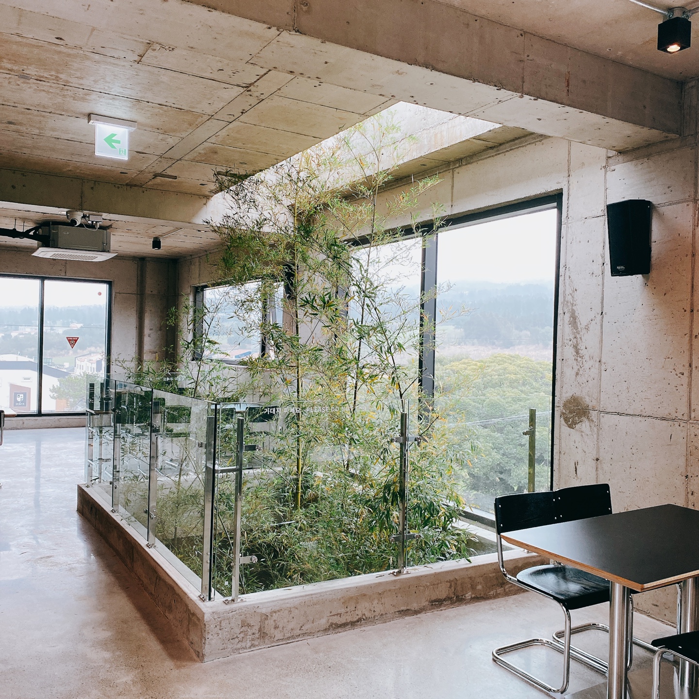 제주 신비마을 도깨비도로 벚꽃명소 레크레 카페