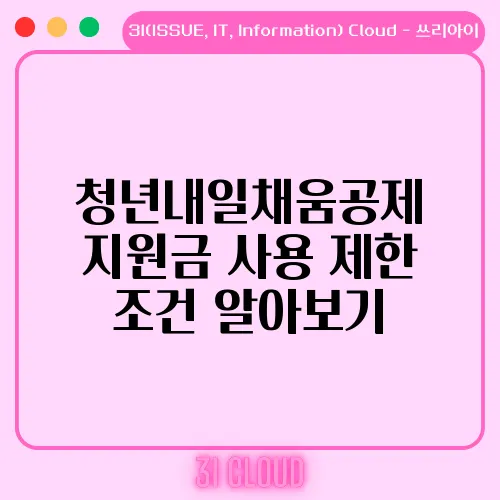 청년내일채움공제 지원금 사용 제한 조건 알아보기