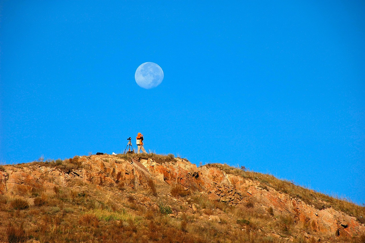 춘분에대한사진