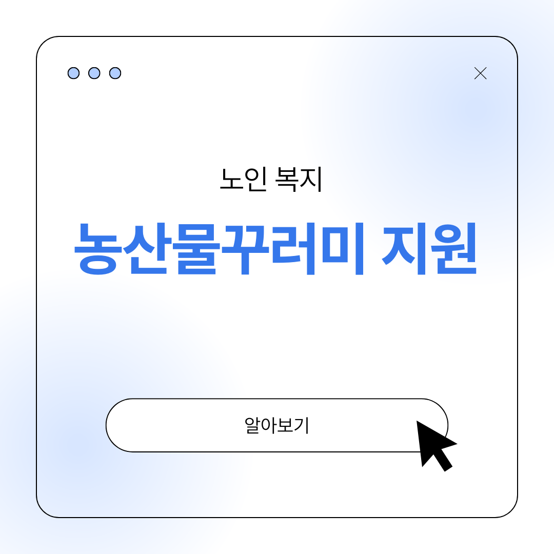 노인 농산물 꾸러미 지원