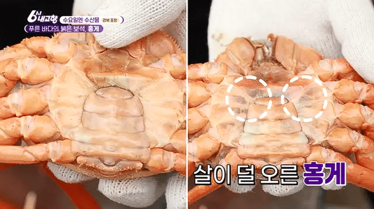 포항 구룡포 ‘게좋은강룡호&강룡수산’ 홍게