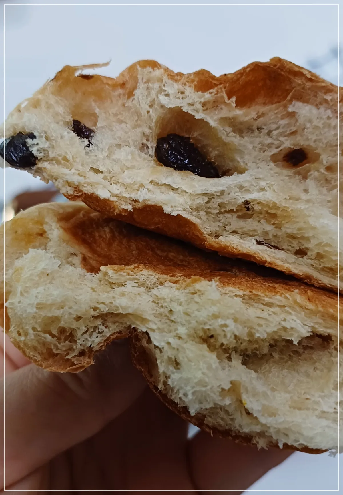 파리바게트-파란라벨-모닝롤