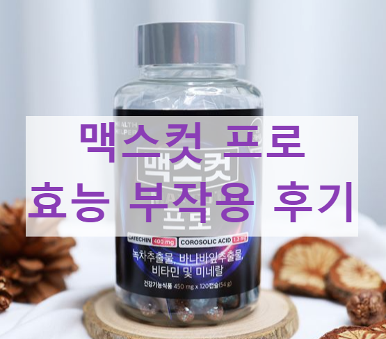맥스컷 프로