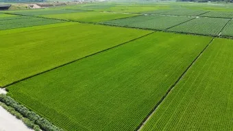 김제 가볼만한곳 베스트10 현지인 추천 필수코스_19