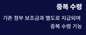 2025 전국민 민생지원금 1차지급 지급방식 및 사용처 - 중복 수령