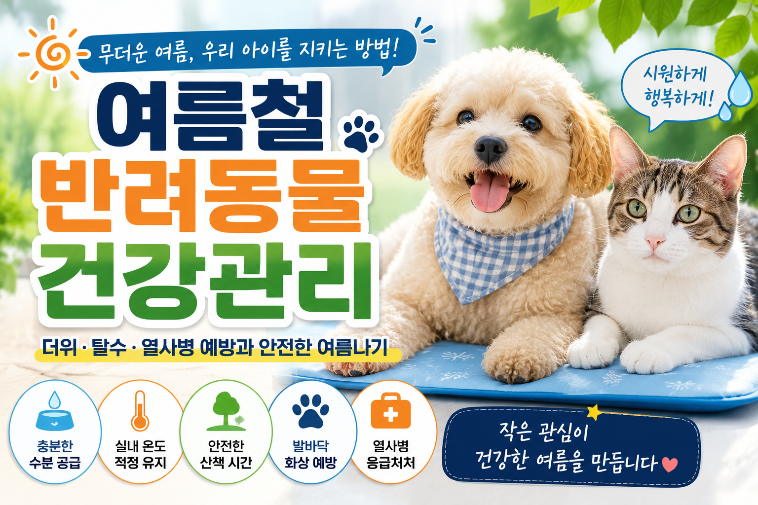 무더운 여름, 우리 아이를 지키는 방법!
여름철 반려동물 건강관리